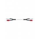 Marine Audio 2M / 6.6 ft. RCA Cable